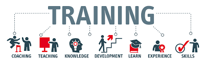 Skills Development And Training